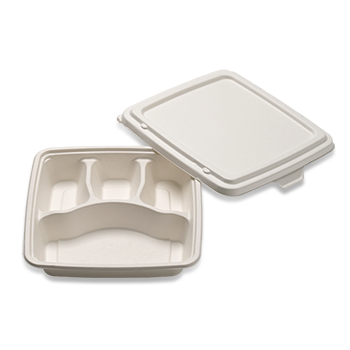Biodegradable Packaging Containers