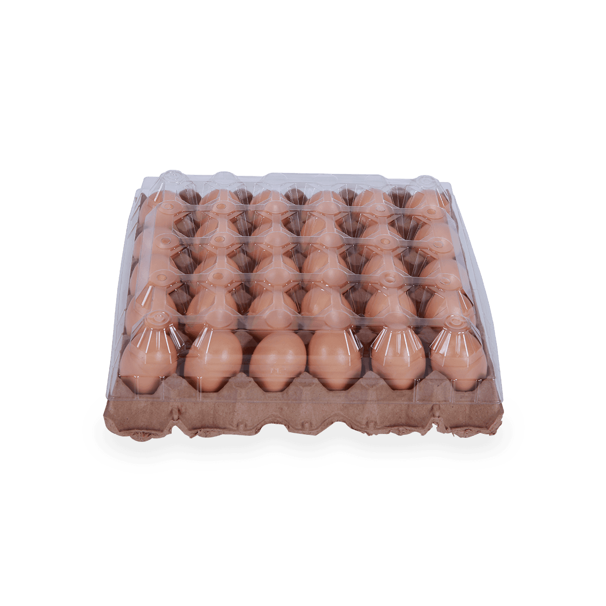 Plastic egg carton lid