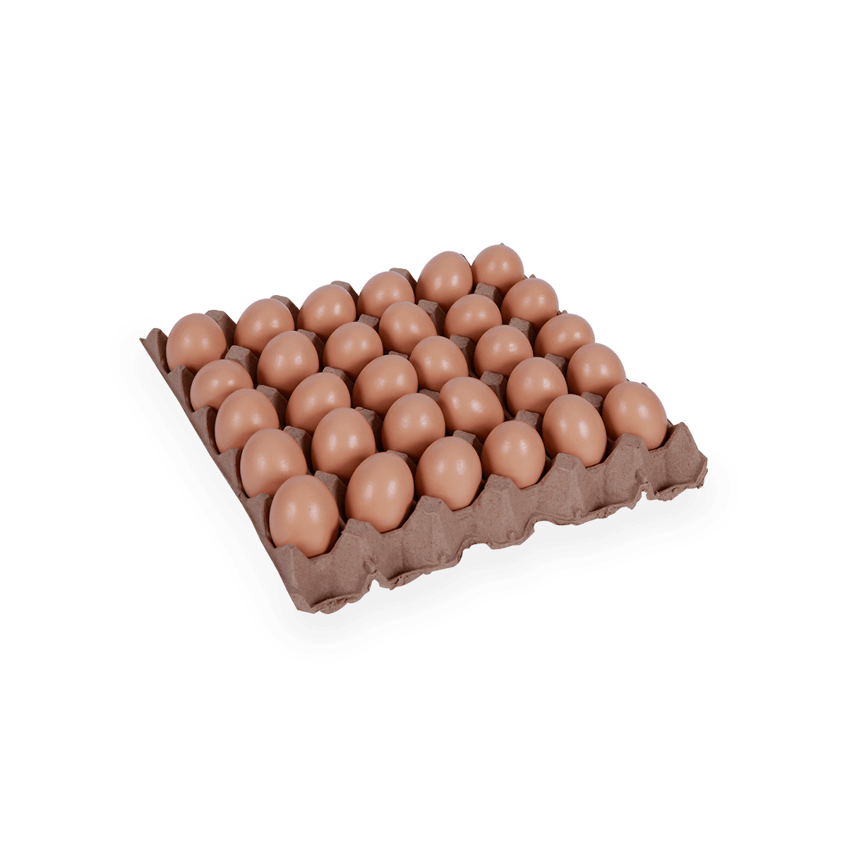 Plastic egg carton lid