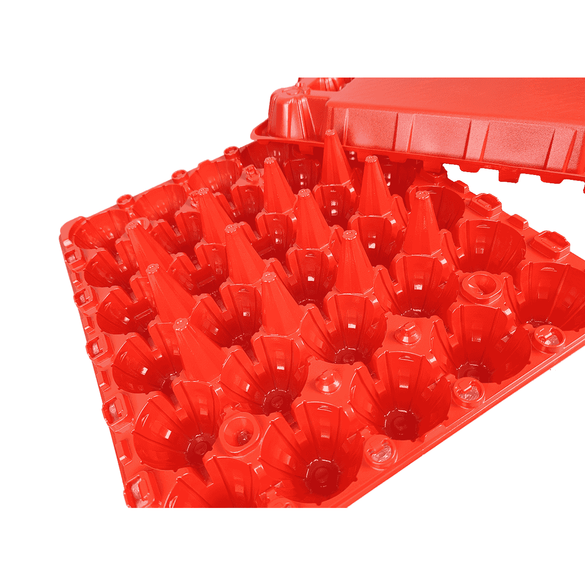 Stackable Matte Red PET 30 Egg Cartons For Refrigerator Big