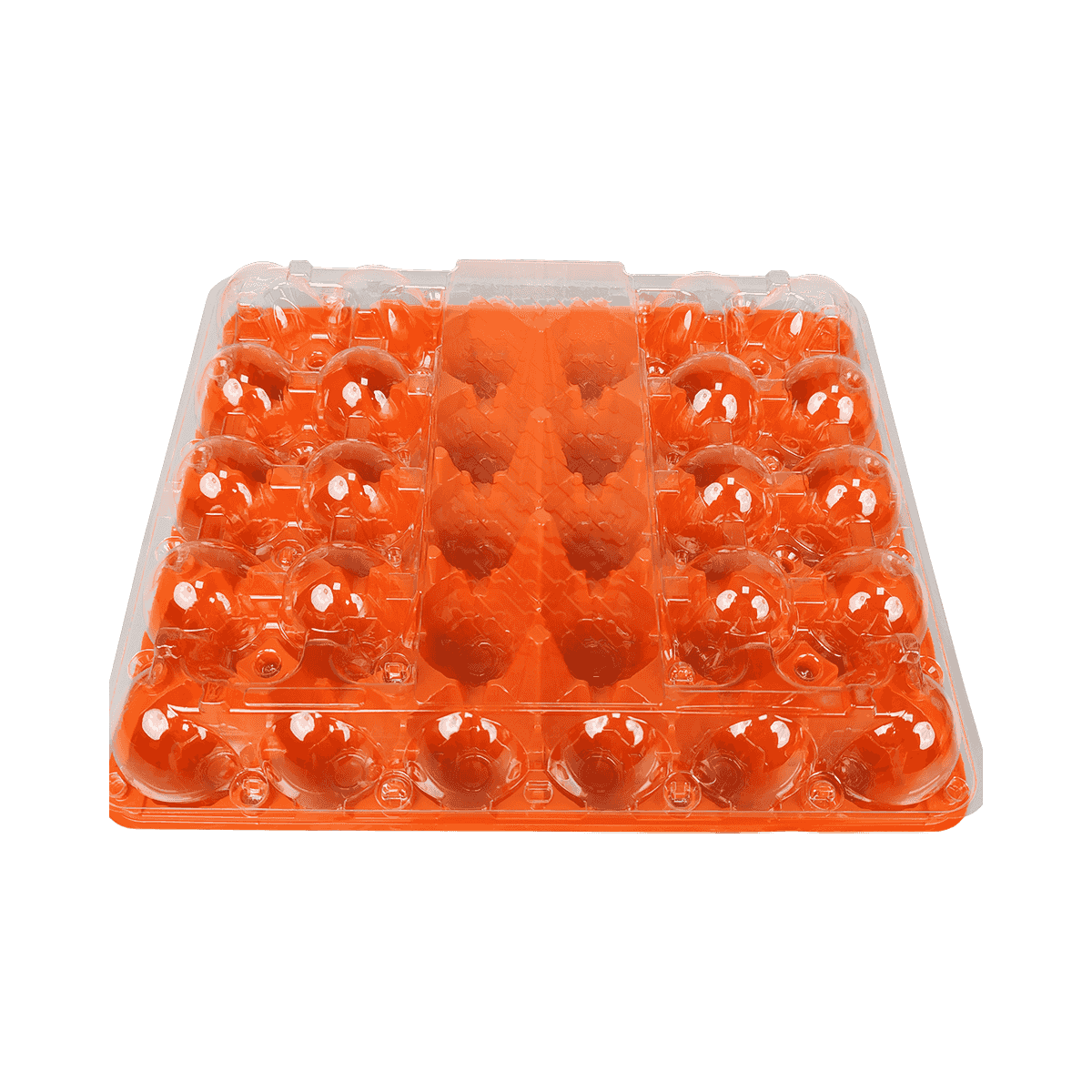 Environmentally friendly colorful chassis with transparent cover PET 30 egg cartons to protect eggs